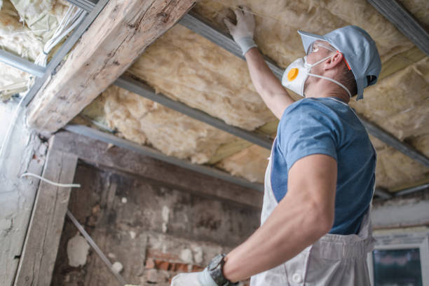 Best Professional Insulation Contractor  in Swifton, AR