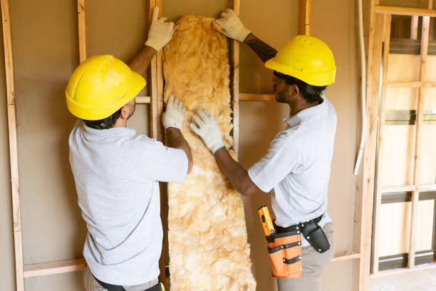 Insulation Inspection Services in Swifton, AR