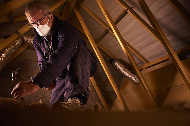 Reliable Swifton, AR Insulation Contractor Solutions