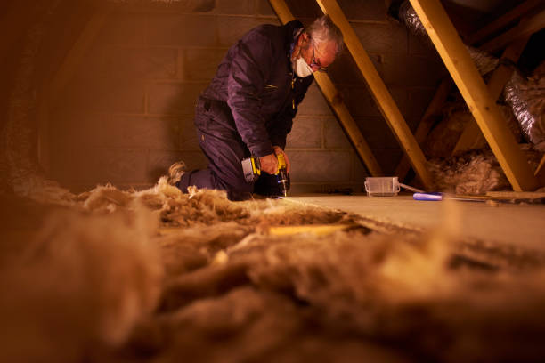 Best Crawl Space Insulation  in Swifton, AR